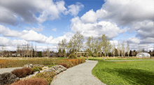 a walking path in a park in Langley Fraser Valley British Columbia